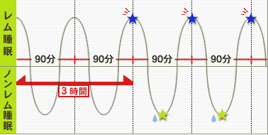 睡眠メカニズム