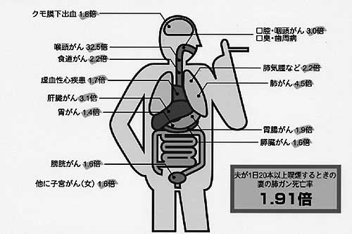 タバコによる健康被害(死亡率)