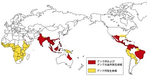 デング熱の発生状況(世界)